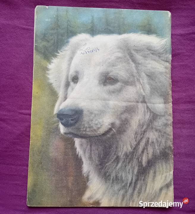 Miesięcznik Plon 12 z 1937 r IV Koźminek