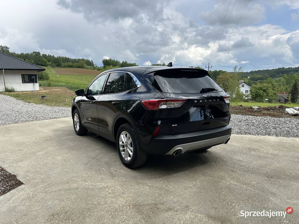 Ford kuga 2022 nieuszkodzony
