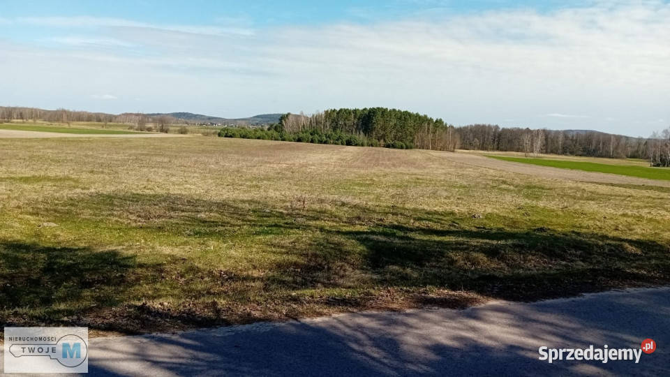 sprzedaży gruntu 56571m2 Strawczyn Sprzedaż świętokrzyskie
