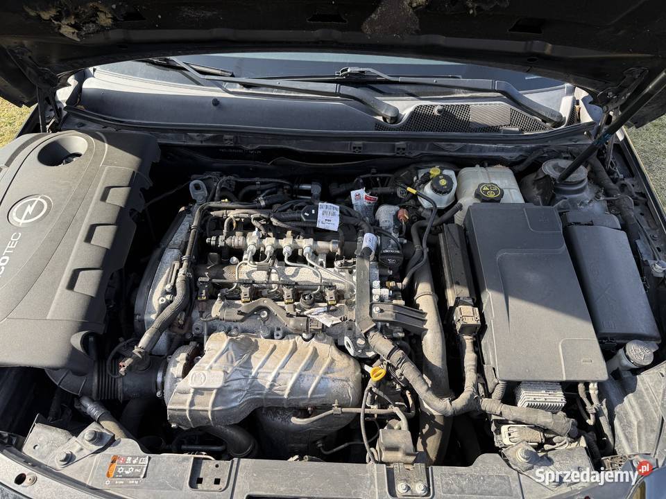 Opel Insignia 20 CDTI Active ecoFLEX SS ogranicznik prędkości świętokrzyskie Korytnica