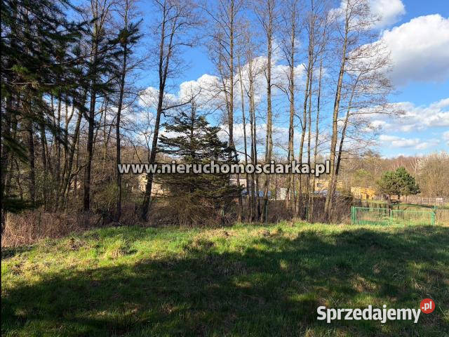 Działka 3750 metrów Wodzisław Śląski