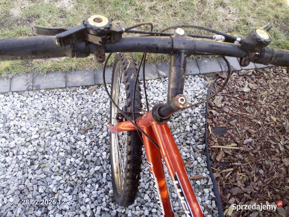 Rower longway góral Powielin