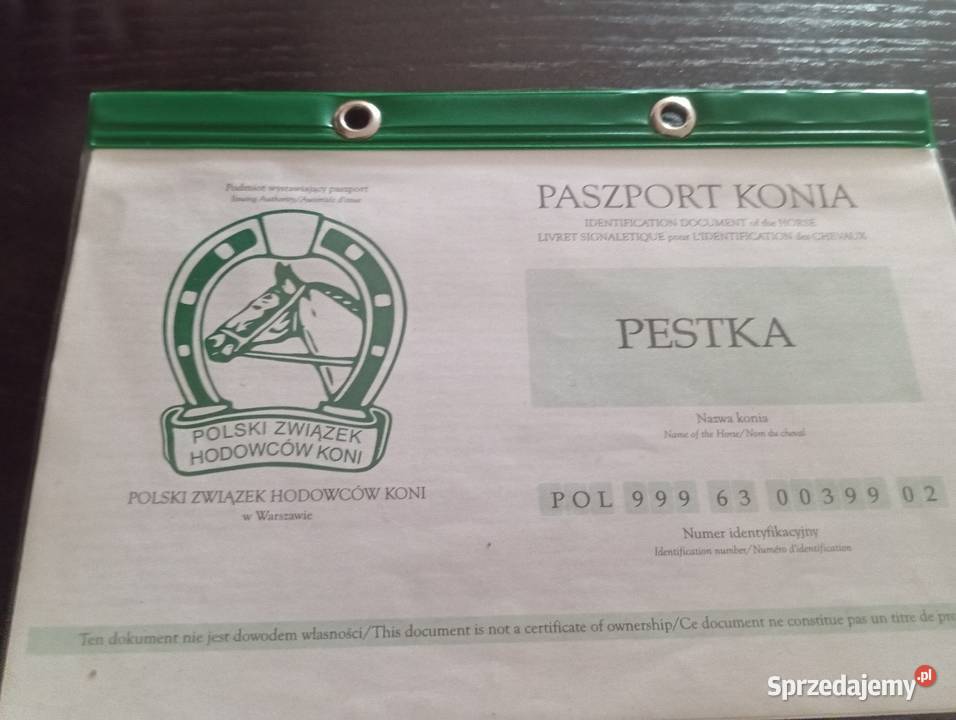 Sprzedam klacz Pogrubianą Radawa