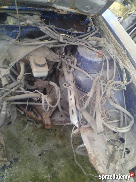 scirocco mk1 Krasnystaw