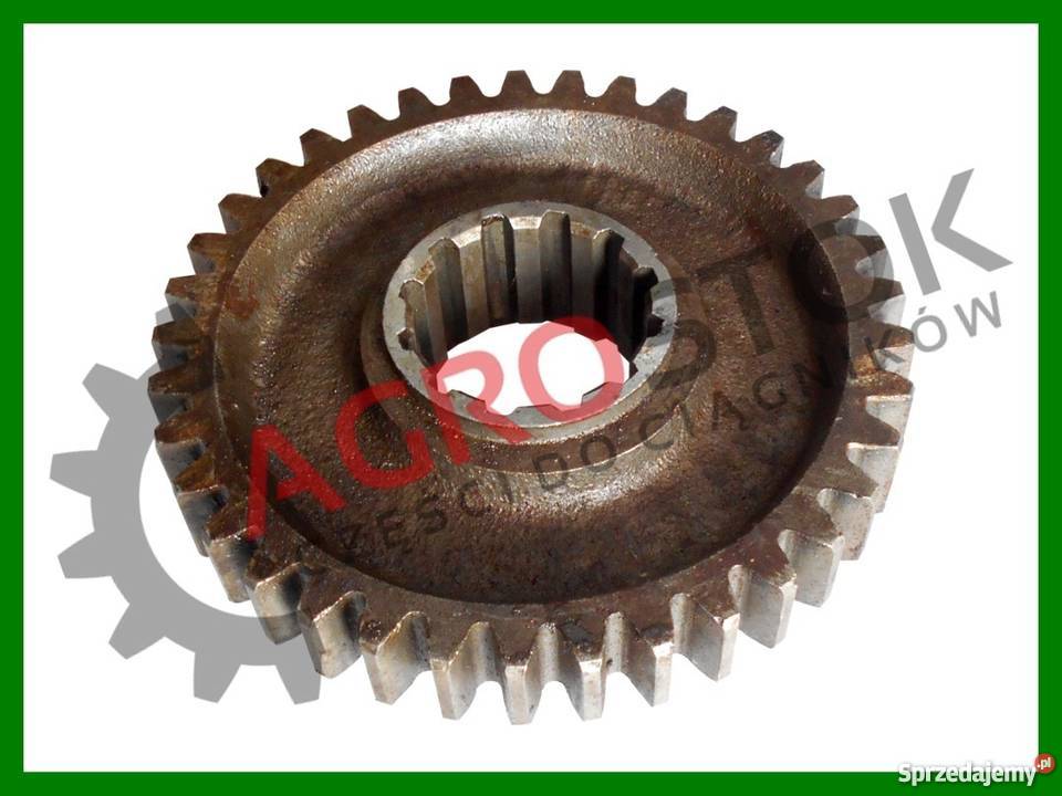 Koło zębate skrzyni reduktora II stopnia MTZ Parczew