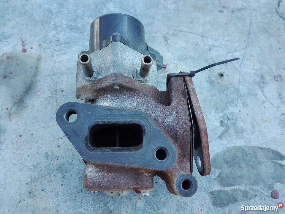 Navara d40 25dci yd25 pathfinder zawor egr Silniki i osprzęt Ryki