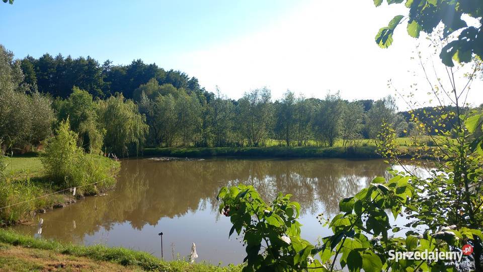 Działka woda Sulechów sprzedam