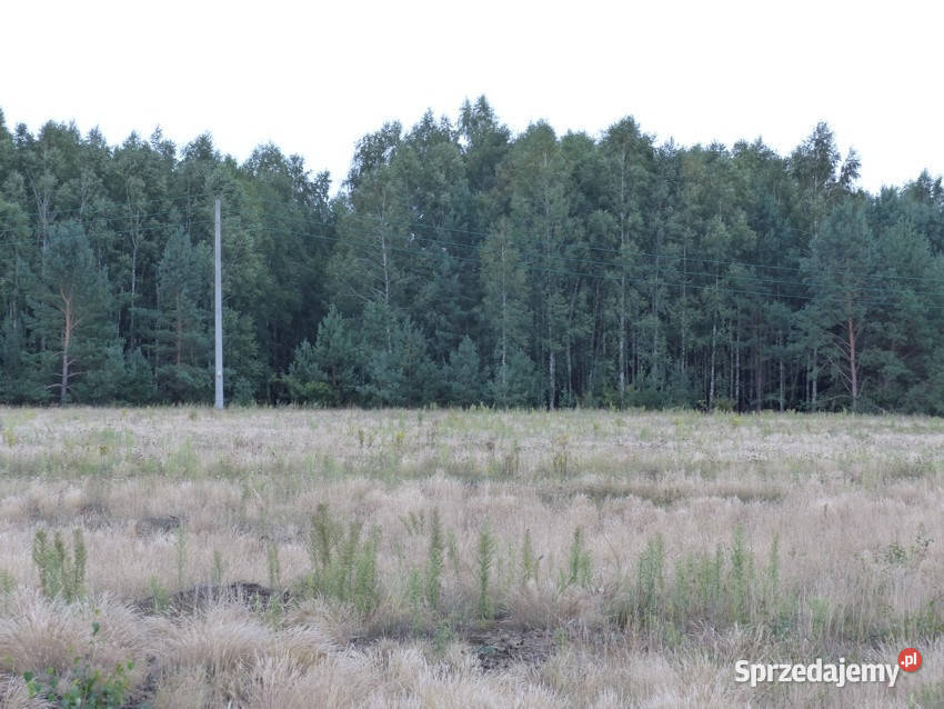 Działki rolnobudowlane k Płocka Lipna Małomin