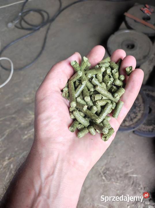 Susz z lucerny 8mm Lucerna granulowana Dostawa w Piotrków Trybunalski sprzedam
