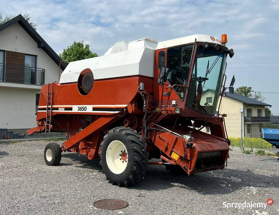 Laverda 3650 z sieczkarnią fiatagri fiat holland Czerniejów