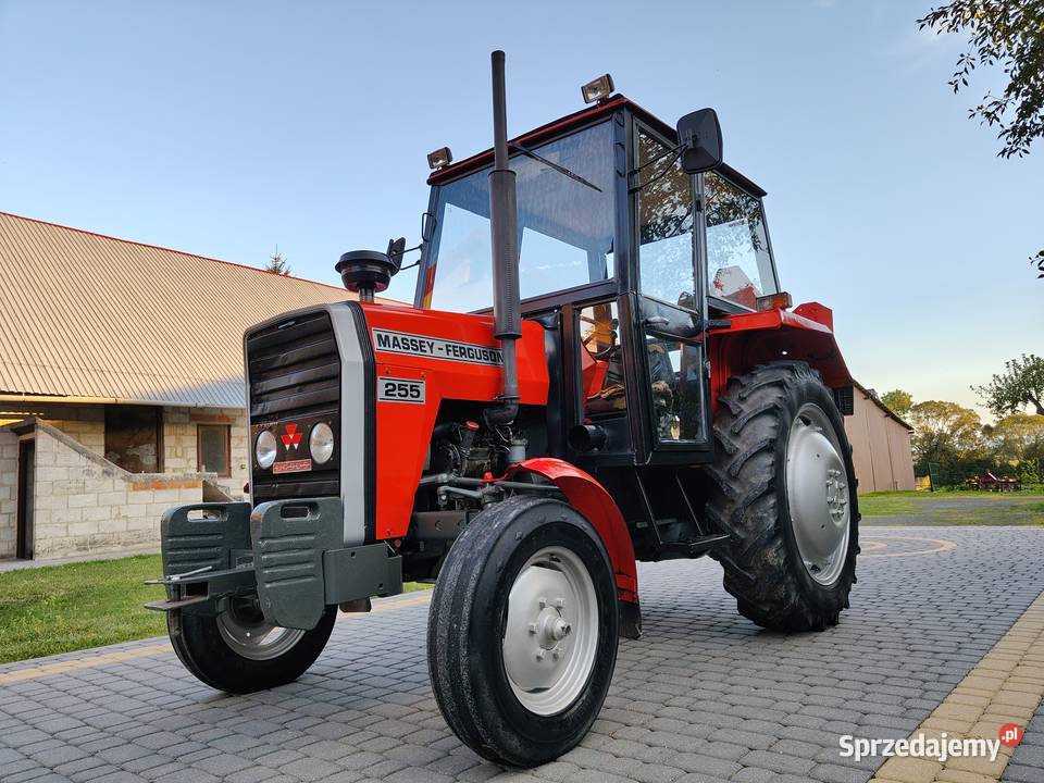 Massey Ferguson 255 Chełm