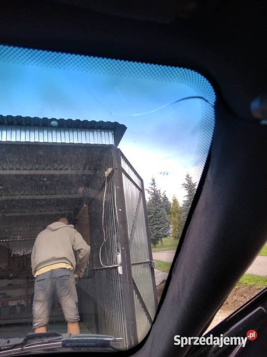 Bmw e36 Motorsport International Class II lakier metallic podkarpackie