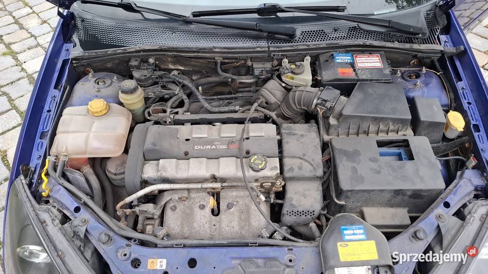 Ford Focus ST 170 Wolf manualna Polska Nowa Wieś