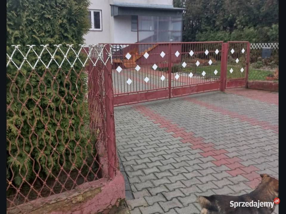 Brama 42 Furtka 1m siatka 20m Jędrzejów sprzedam