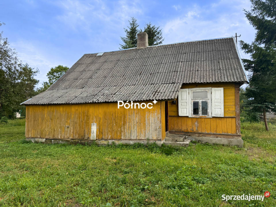 Siedlisko 11 ha w Kozłach Kozły