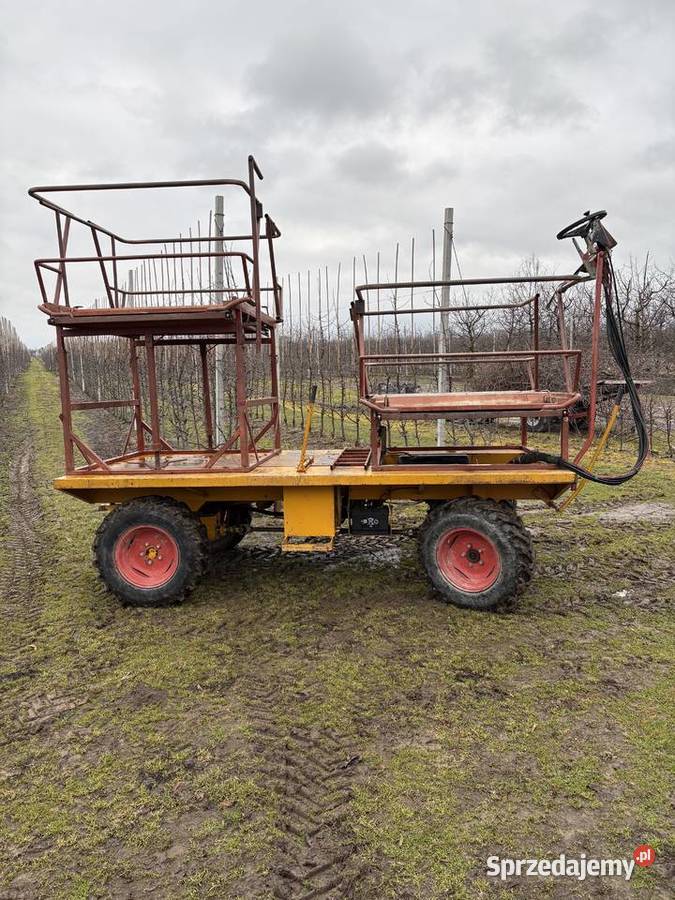Platforma sadownicza Ludwików