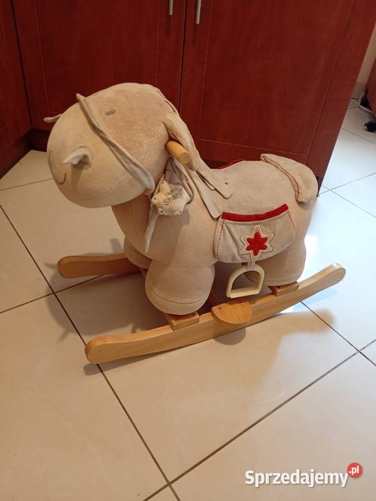 Konik na biegunach Kraków