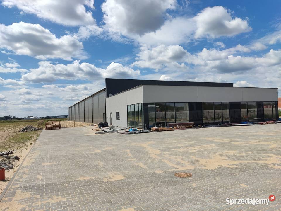 Konstrukcja hali magazynowej Konstrukcja stalowa Czarny Las