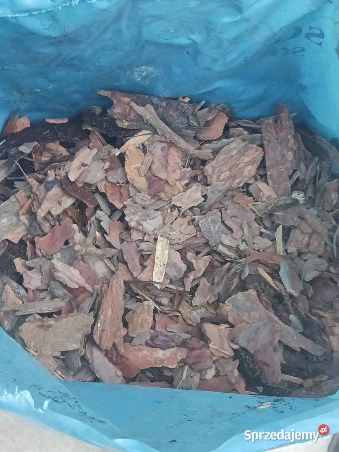 Kora sosnowa średnia 80L Kraków