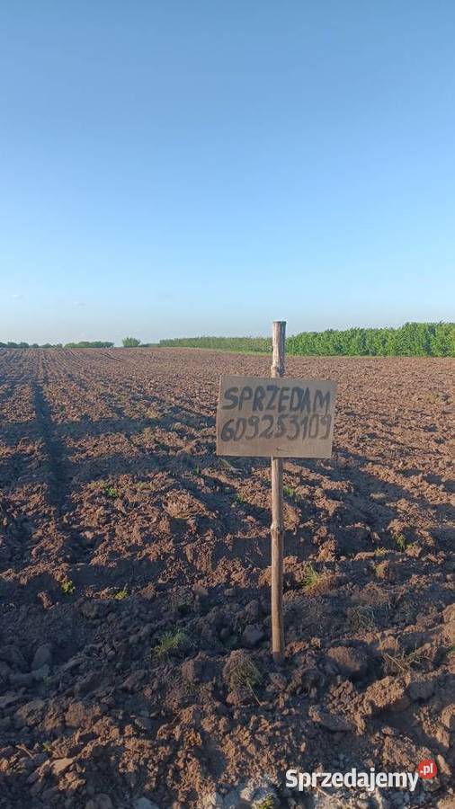 Sprzedam działkę rolną Trzykosy