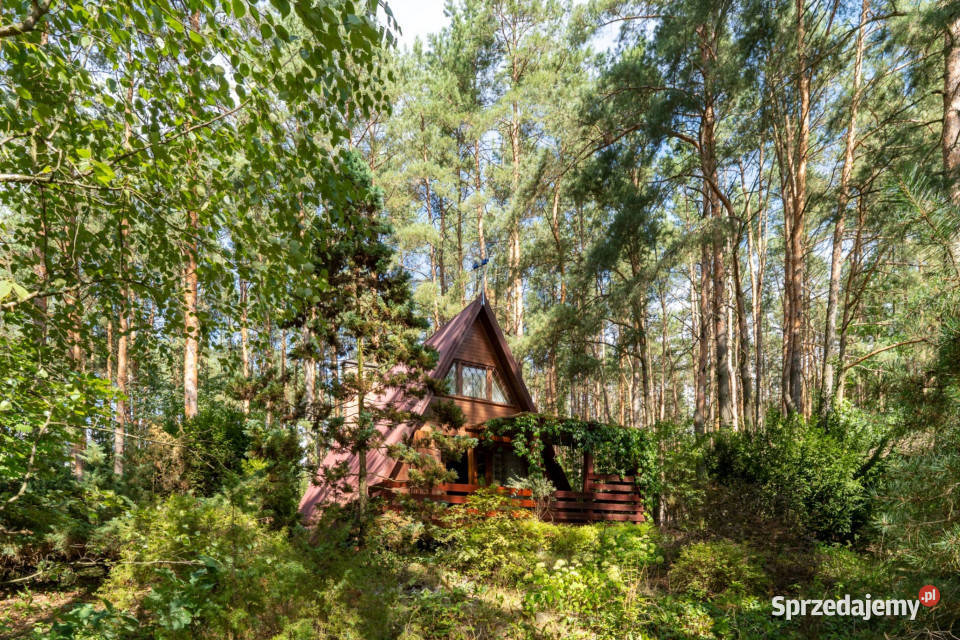 Tuchlin dom letniskowy na działce 1172 m2