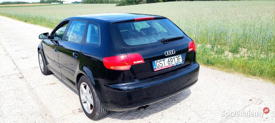 Audi a3 19 tdi 2008 Skóry 5Drzwi A3 Linowiec