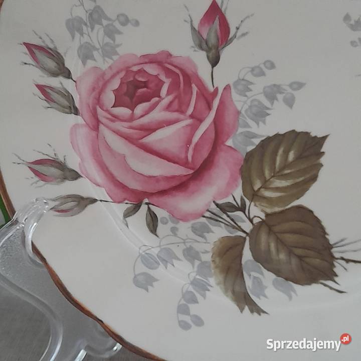 Trio Royal Winterling Bavaria Vintage filiżanka Bogatynia