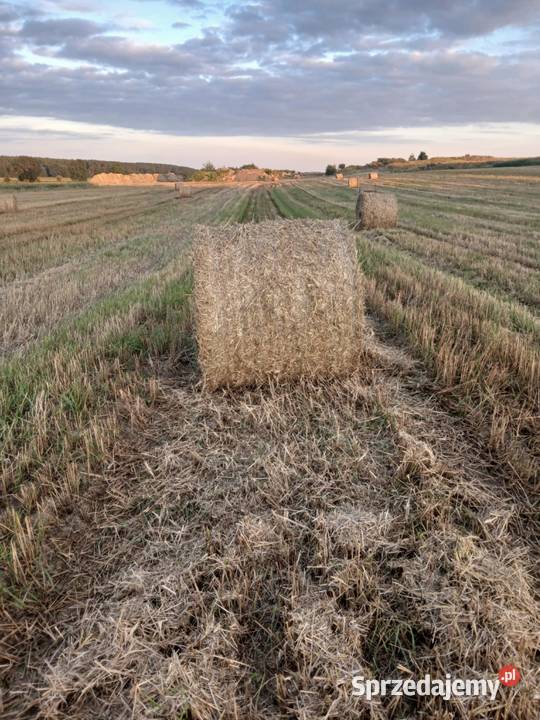 Prasa Massey Ferguson 822 nieuszkodzony Kępno sprzedam