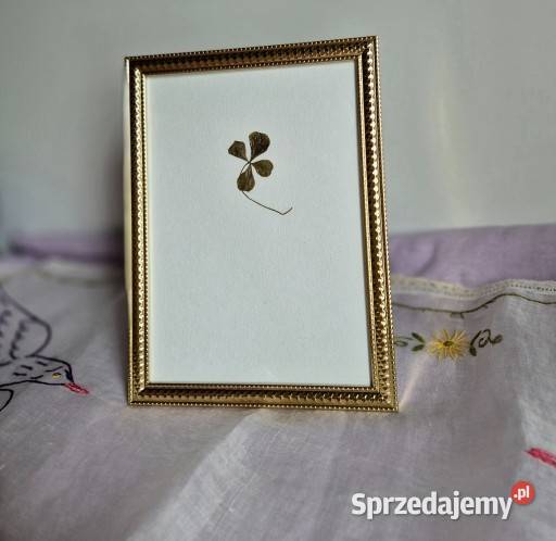 Koniczyna czterolistna ślubny prezent prezent Brzesko