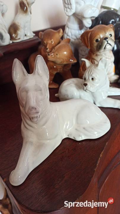 Piesek leżący biały Figurka porcelanowa Śliczny pomorskie