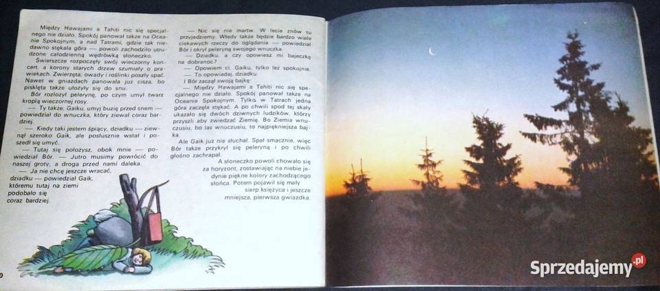 Bór i Gaik w wiosennym lesie Jerzy Michał Rok wydania 1983 lubelskie