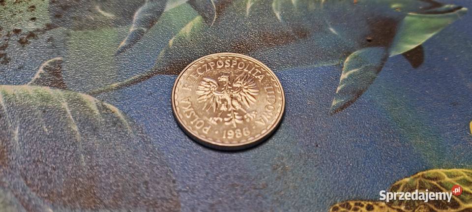 Monety PRL 1 1978 80 81 82 83 84 85 86 87 Gliwice