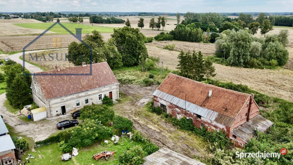 100letni bliźniak pod Prabutami jeziora Obrzynowo