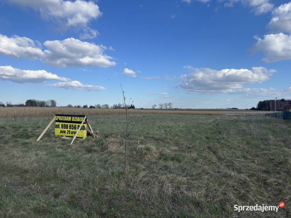 Działka 2855 ara Szalkowo Kwiry warmińsko-mazurskie