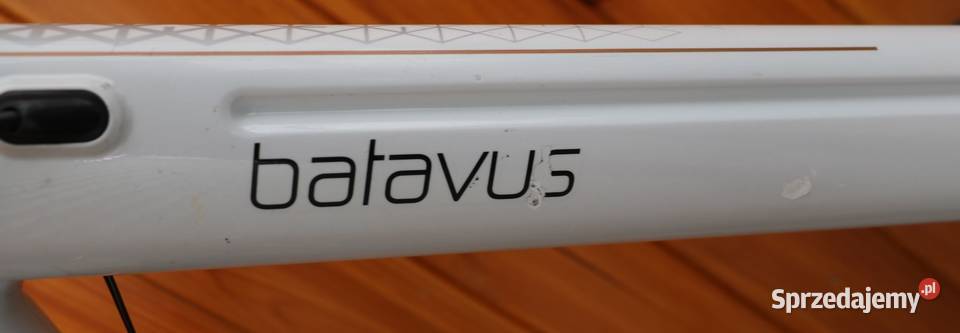 Rower elektryczny Batavus Wayz D 53I inne rowery