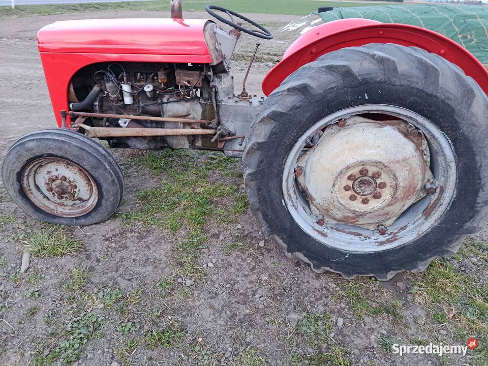 Ferguson tea 20 Kalisz