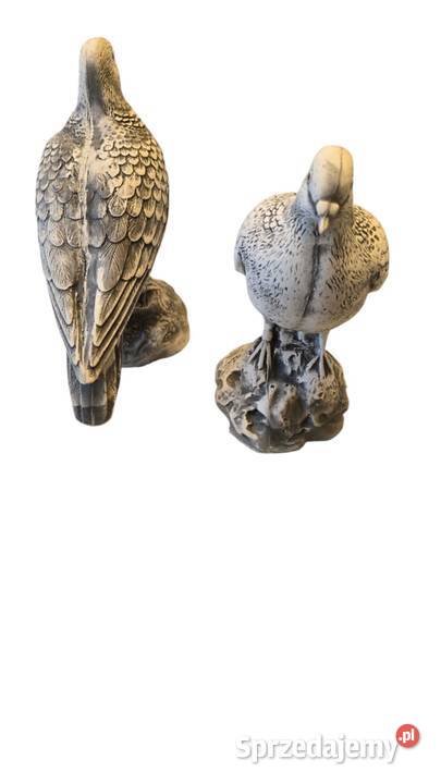 GOŁĄB GIPSOWY FIGURKA GOŁEBIA Wrocław