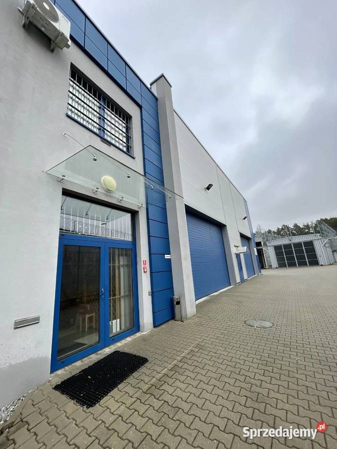 Syndyk sprzeda zorg część przedsiębiorstwa lubuskie Krzywaniec