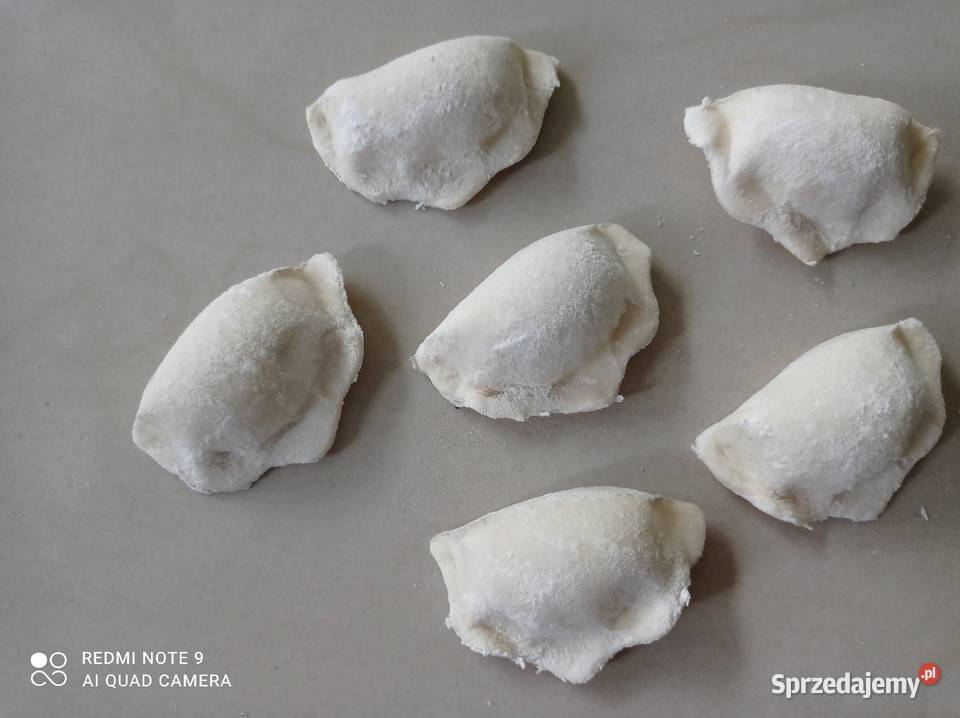 Pierogarka maszyna do pierogów Łódź