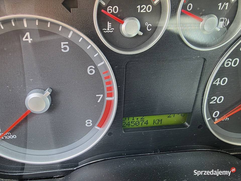Ford Focus Ruda