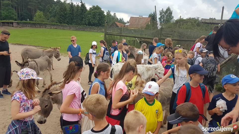 Kolonie obozy na Mazurach w Górach Ruciane-Nida