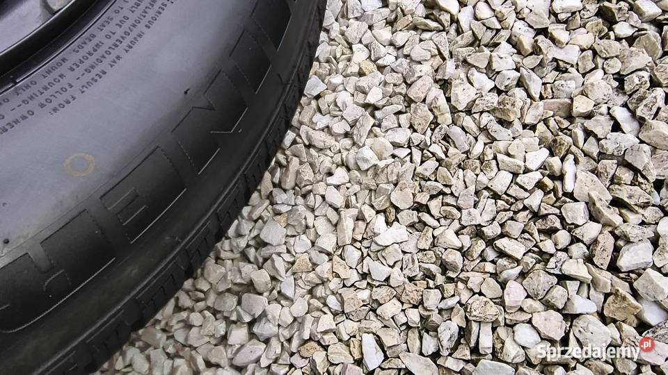 Opony zimowy Minerva Frostrack HP 2156516 Dacia Samochodowe wielkopolskie