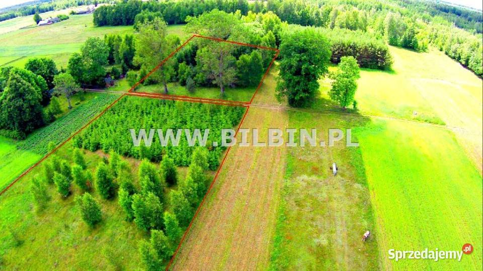 Działka 11300m2 Maćkowa Ruda podlaskie