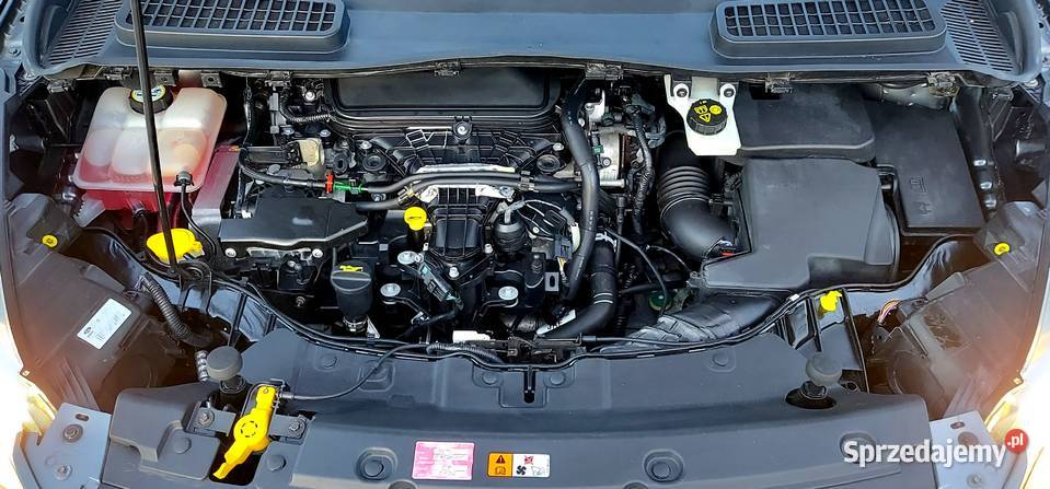 Ford Kuga 20 Tdci Radary Navi Asystent Znaki Samochody osobowe dolnośląskie