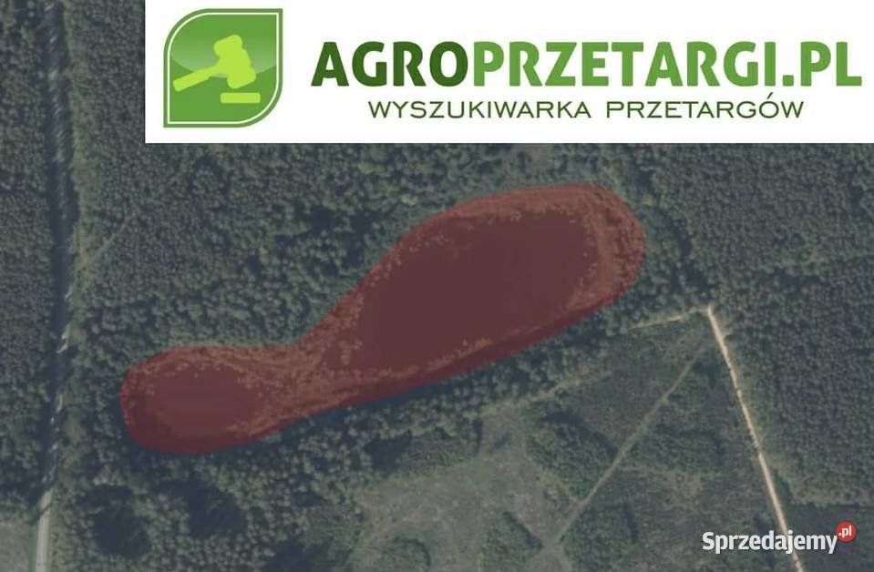 Dzierżawa 370 ha jeziora