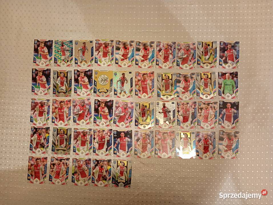 Karty piłkarskie kolekcjonerskie Panini FIFA 365 Puszczykowo