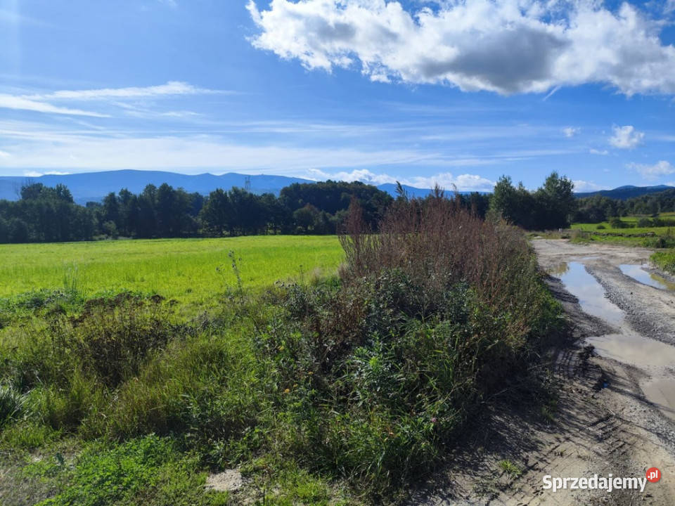 ŚWIETNA DZIAŁKI BUDOWLANEJ  W WOJCIESZYCACH