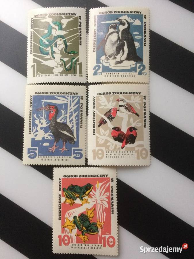 1007 Cegiełki Budujemy Nowy Ogród Zoologiczny Szczecin