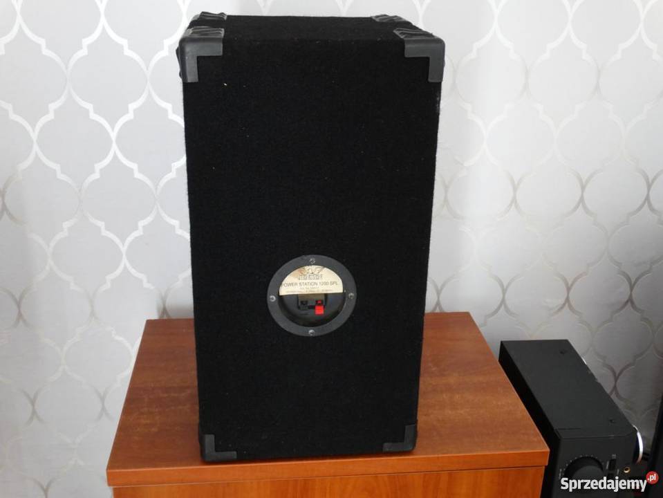 Kol estradowa Jensen 300 wat sprawnaWYSYŁKA Jasło