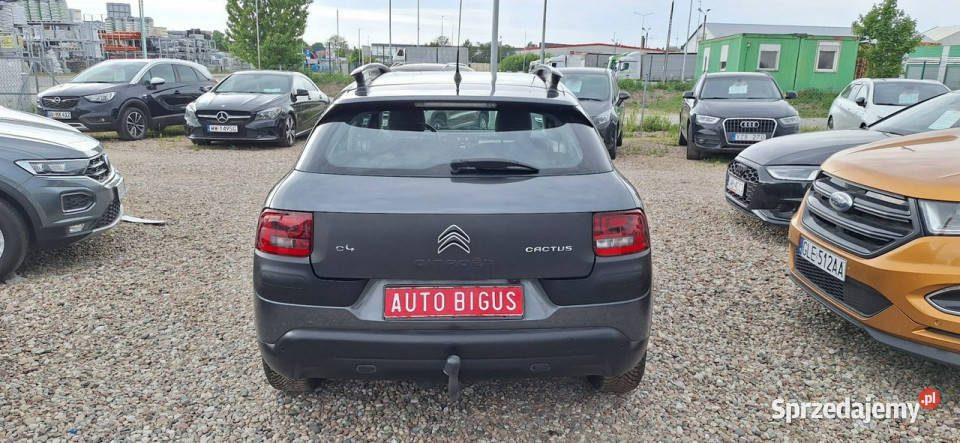 Citroen C4 Cactus ledy navi climatronic I 2014 ABS Lębork sprzedam
